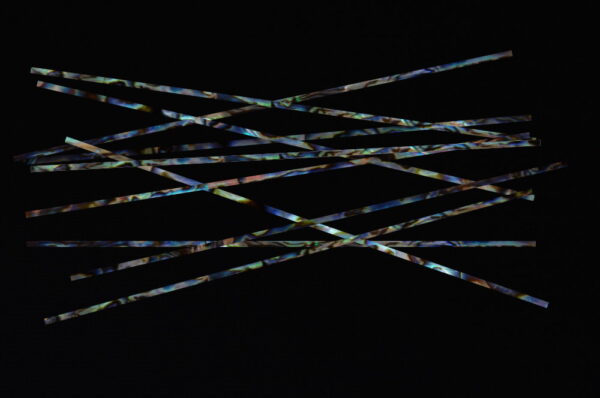 FICCCENT - Blue Paua Strips