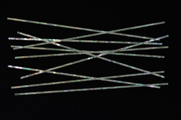 FICCCENT - Prism Abalone Shell Strips